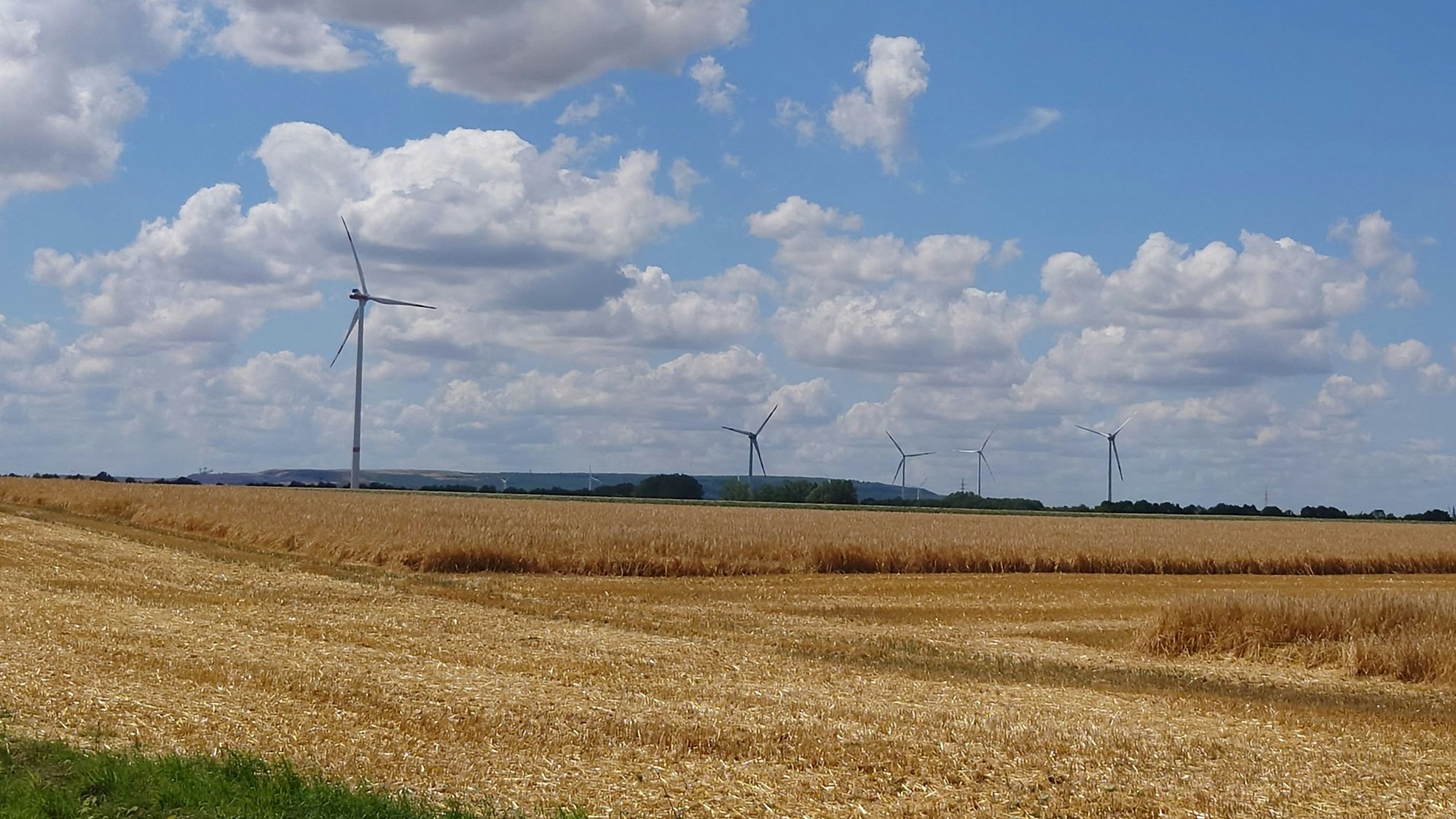 Hinter einem teilweise abgeernteten Weizenfeld ragen fünf Windräder in den Himmel.