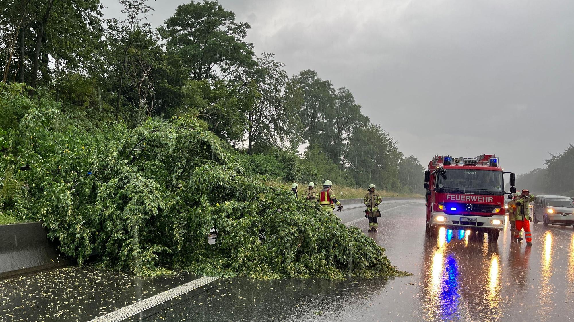 Ein im Gewitter umgeknickter Baum gefährdete den Verkehr auf der A1.