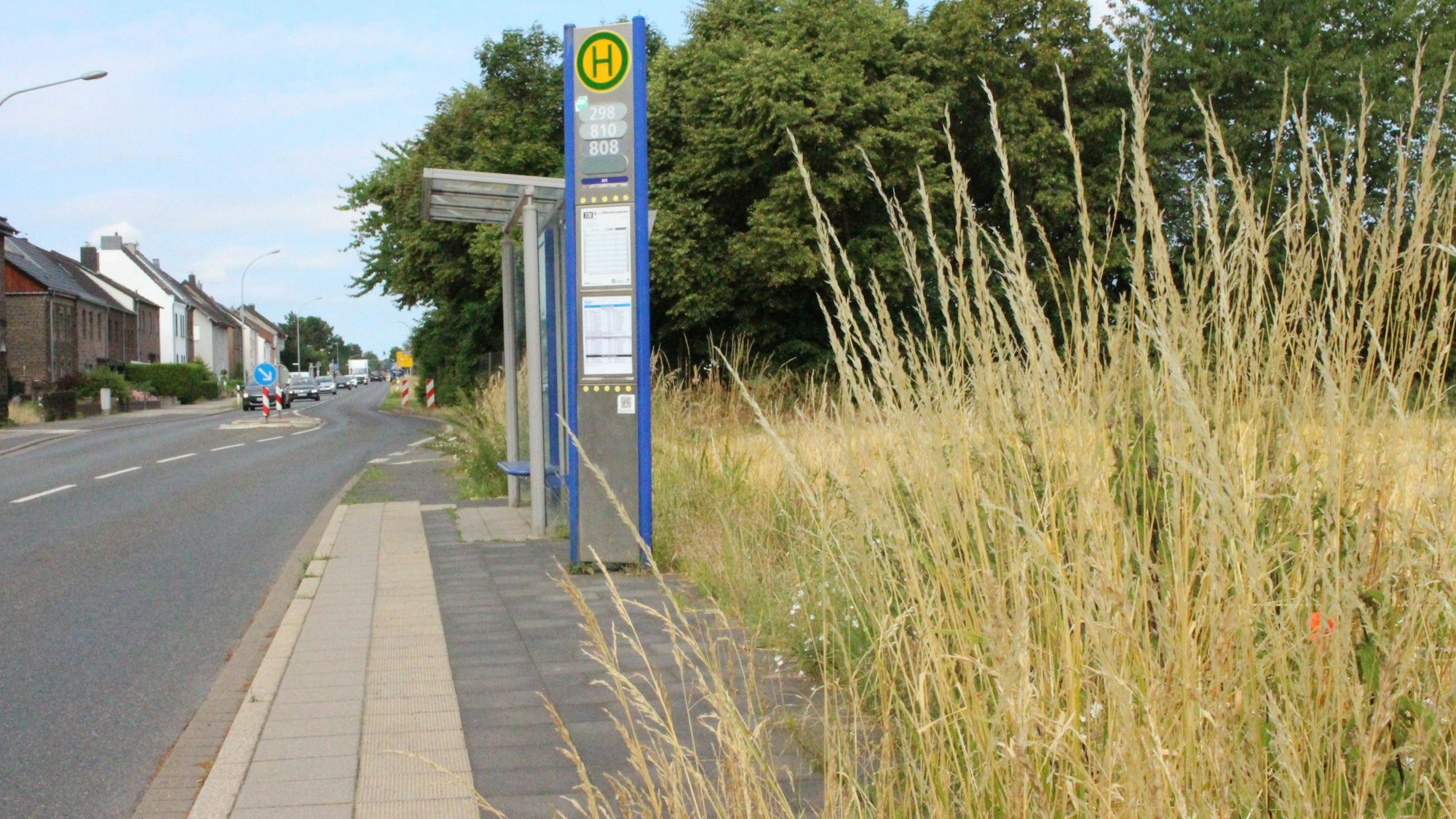 Das Bild zeigt eine Haltestelle am Straßenrand. Rechts ist eine Wiese mit hohen Gräsern, links eine Straße und eine Häuserzeile.