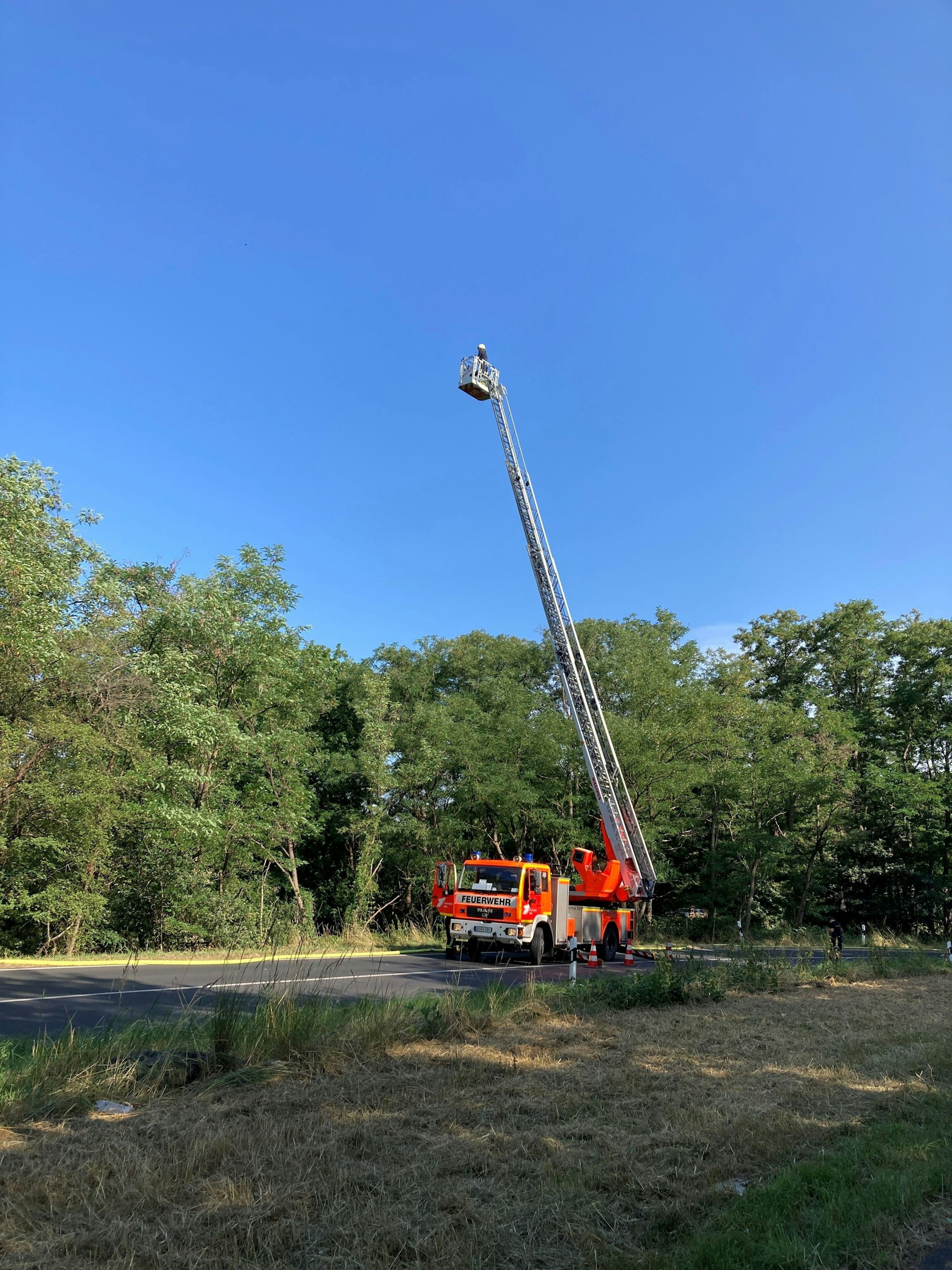 Feuer Waldbrand