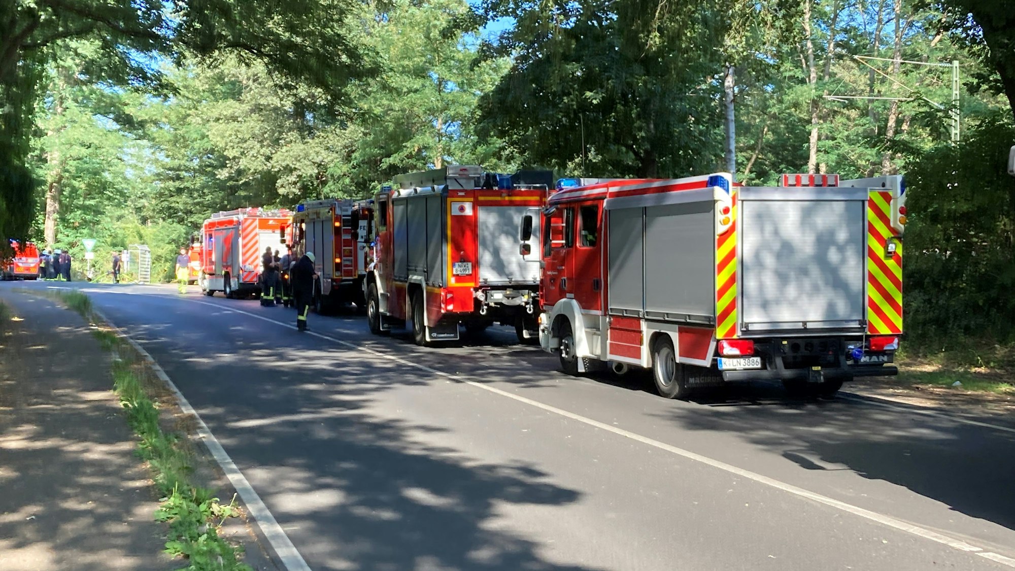 Feuerwehrwagen beim Waldbrand