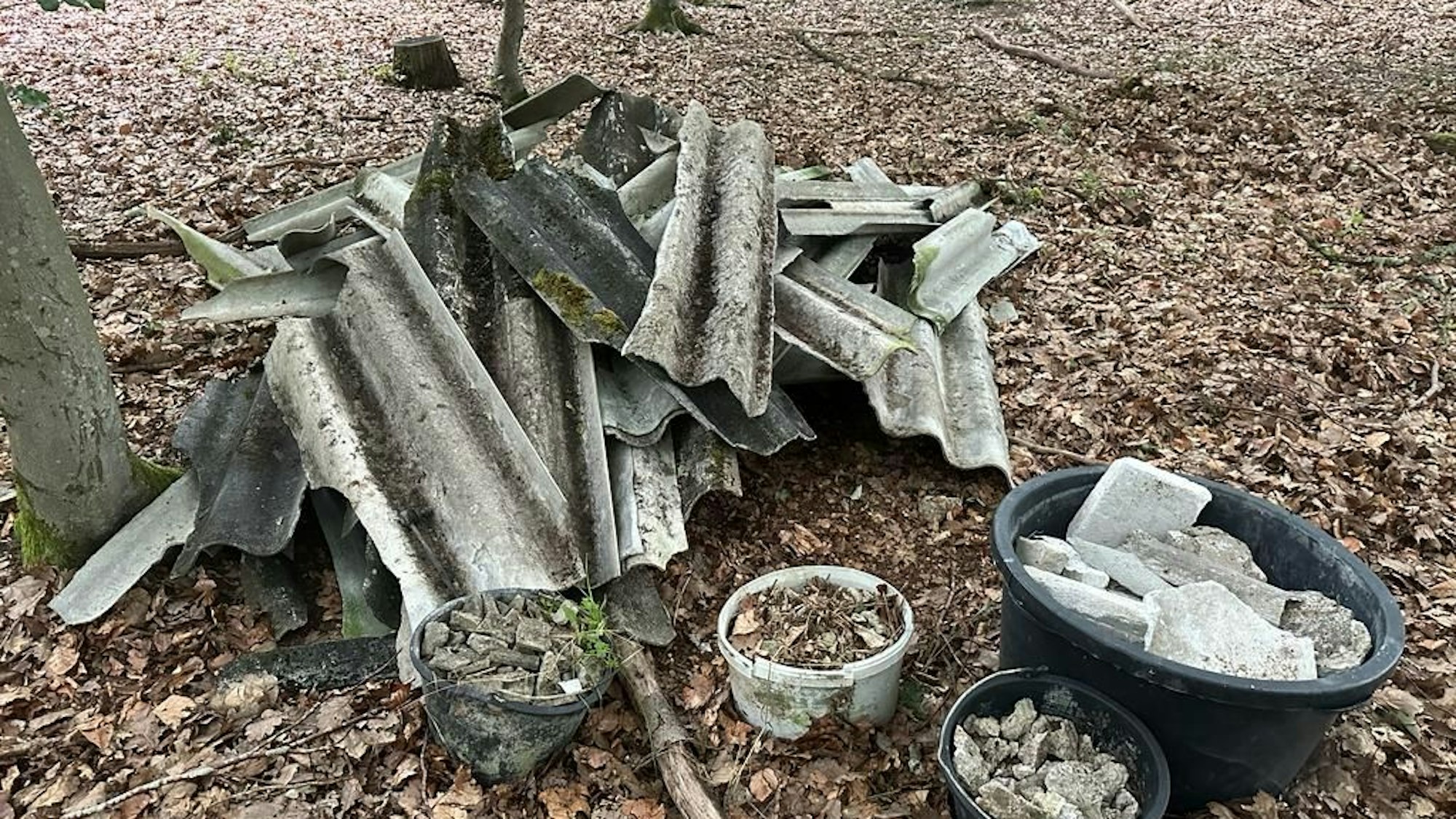 Absesthaltiger Müll liegt auf einem Waldstück in Bad Münstereifel.