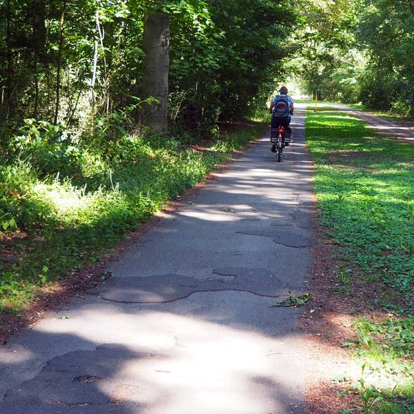 Ein Fahrradfahrer fährt auf einem Stolperweg.