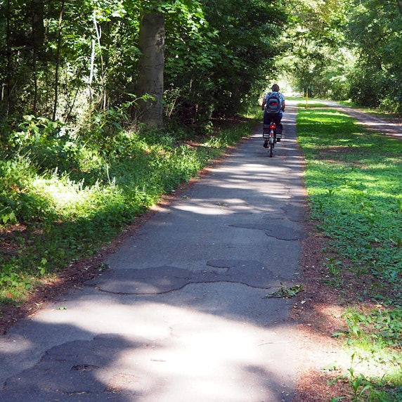 Ein Fahrradfahrer fährt auf einem Stolperweg.