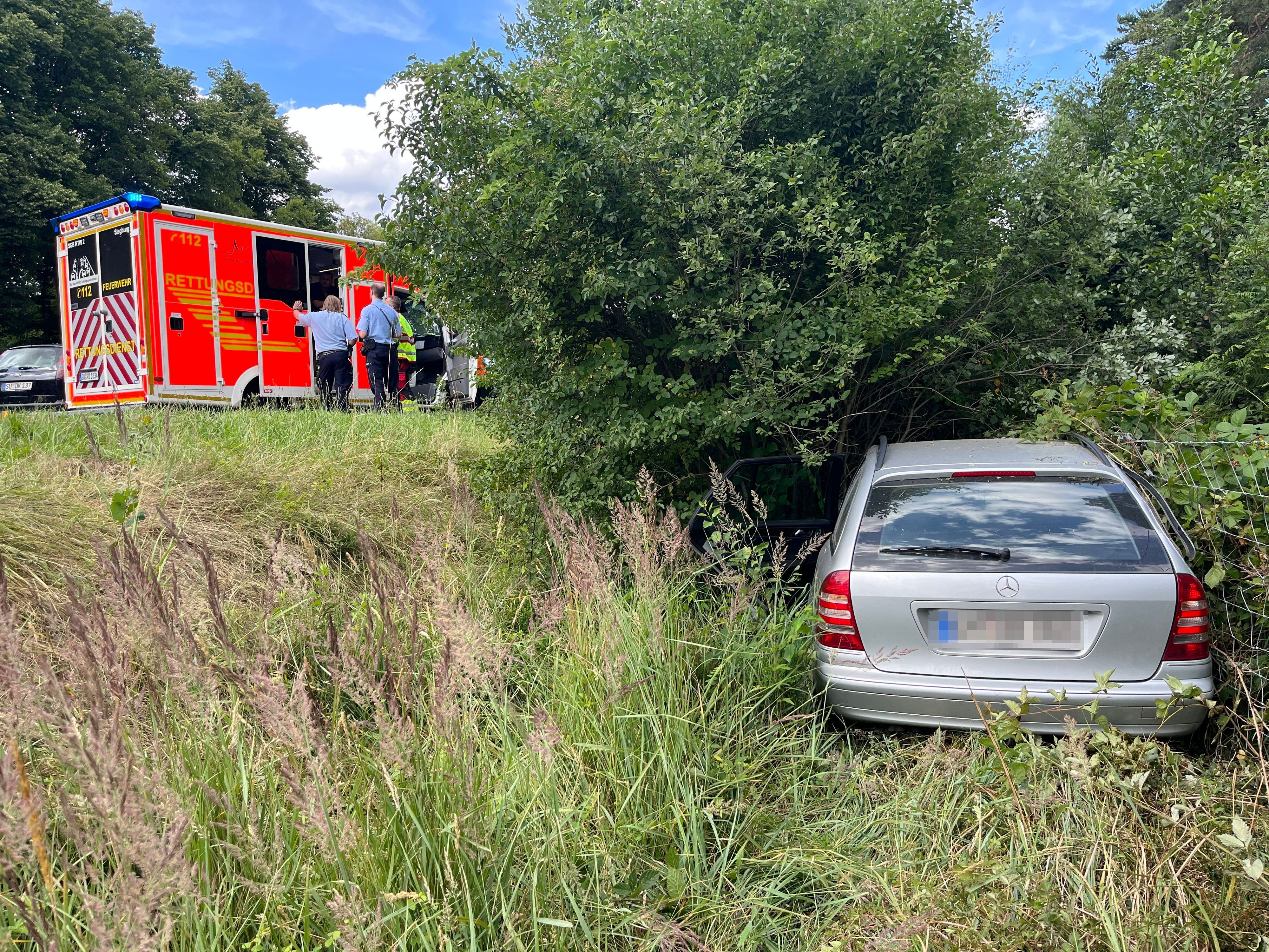Ein Unfallwagen steht in einem Gebüsch am Straßenrand.