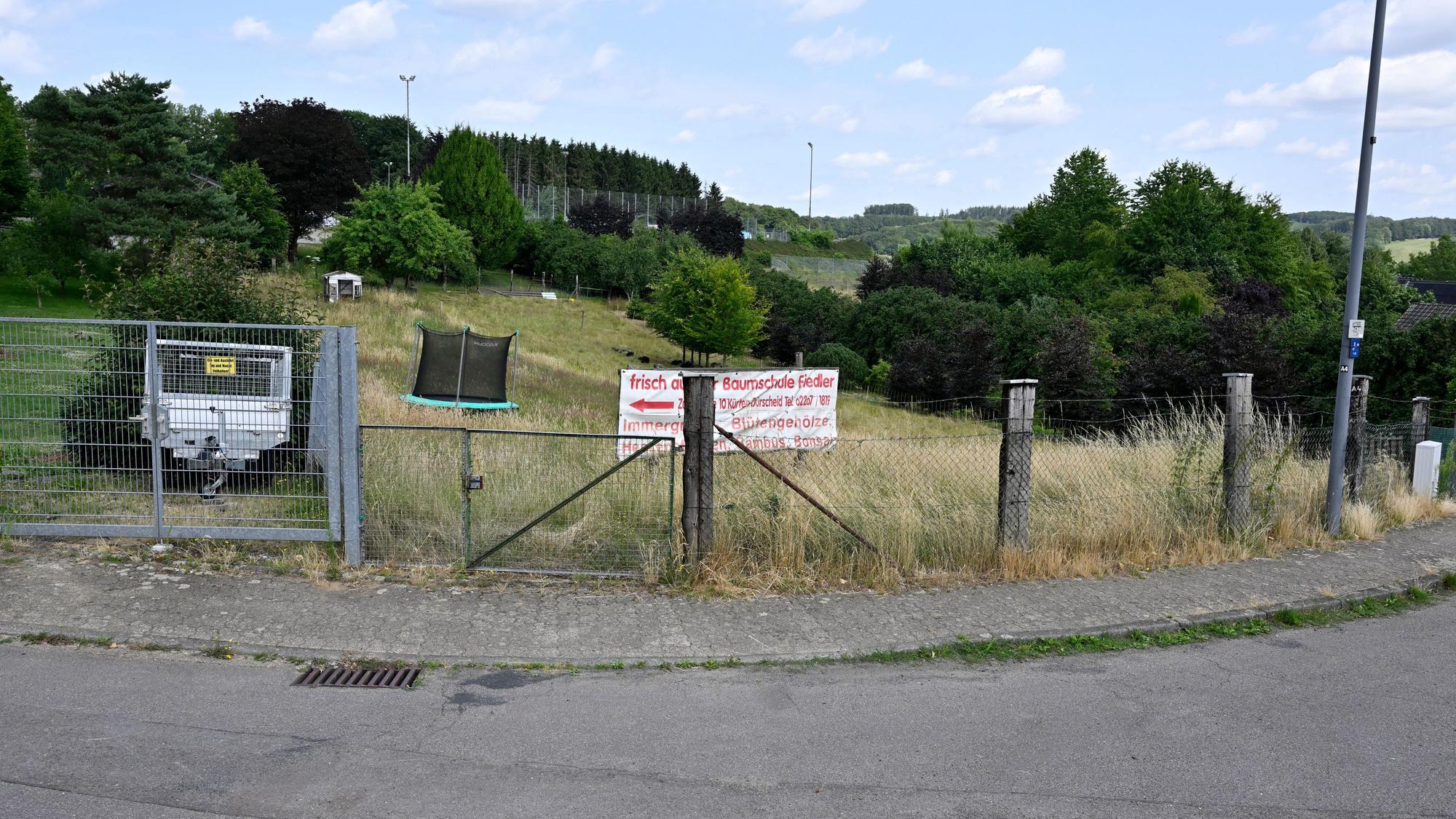Das Bild zeigt ein Baumschulgelände in Kürten-Dürscheid, ein mögliches neues Baugebiet.