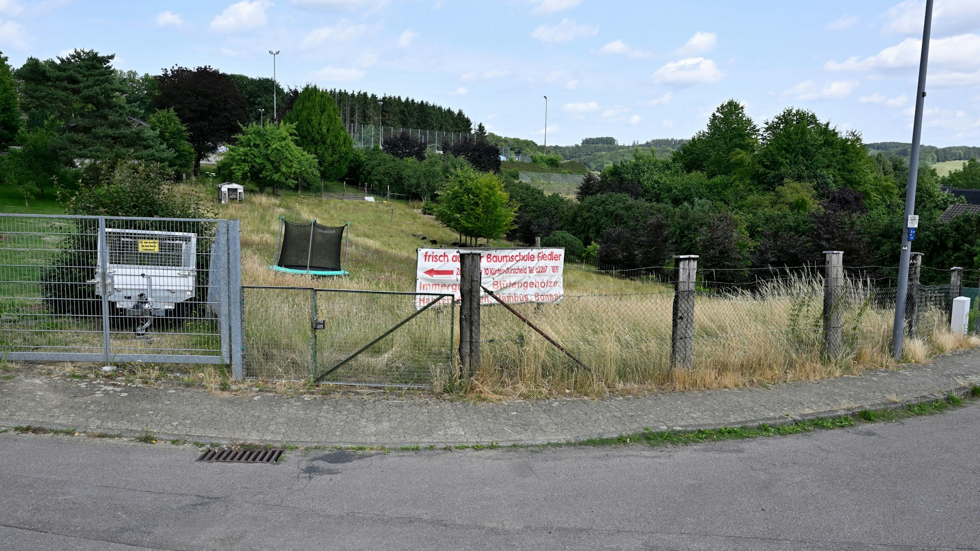 Das Bild zeigt ein Baumschulgelände in Kürten-Dürscheid, ein mögliches neues Baugebiet.