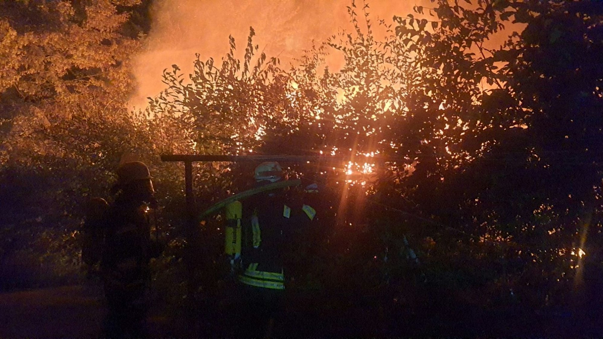 Einsatzkräfte der Feuerwehr löschen brennende Büsche und Bäume in einem Wohngebiet.