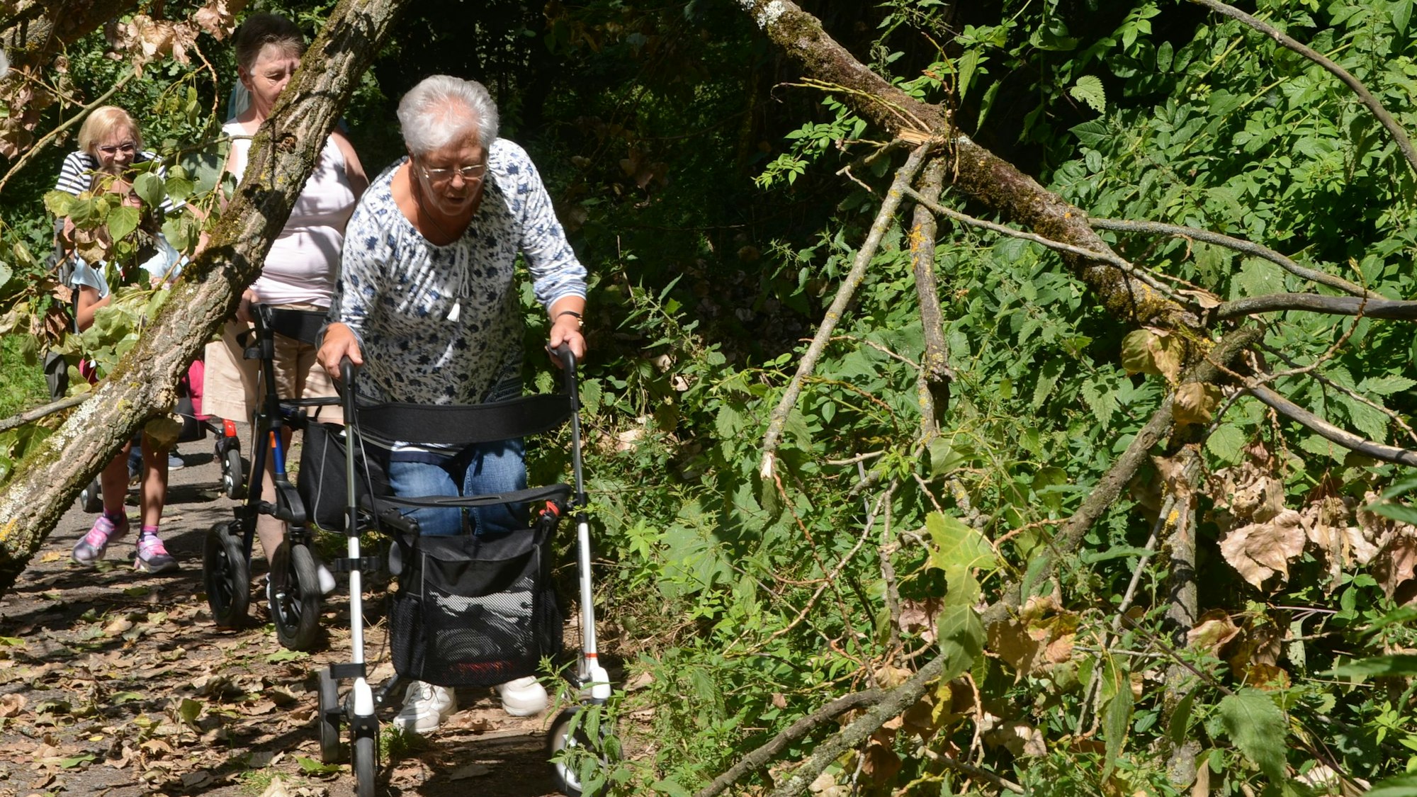 Eine Frau mit Rollator geht unter einem umgestürzten Baum durch.
