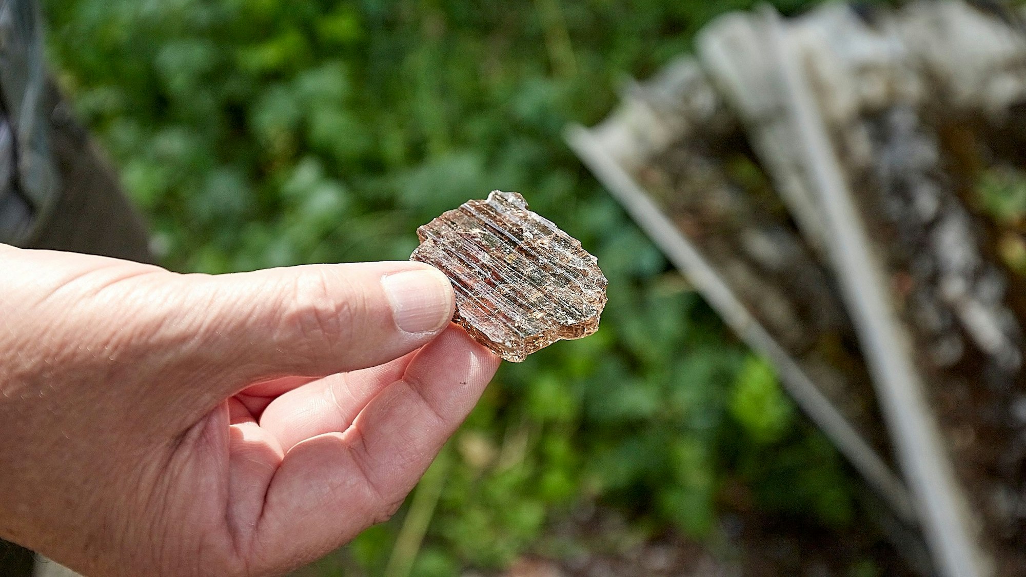 Eine Hand hält eine der illegal entsorgten Glasscherben.