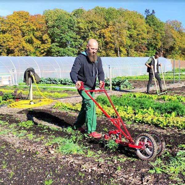 Zwei Männer bearbeiten Beete mit einfachem Gerät.