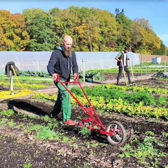 Zwei Männer bearbeiten Beete mit einfachem Gerät.