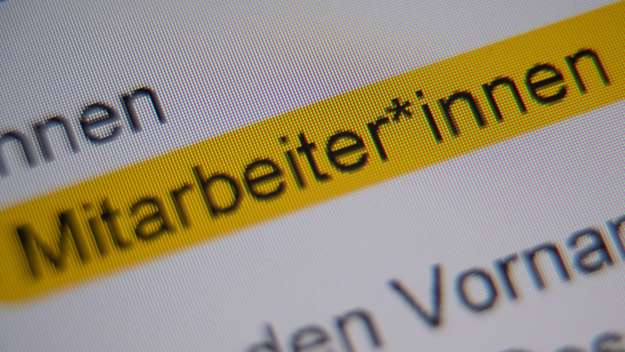 Der Rat für deutsche Rechtschreibung stuft Genderzeichen nicht als Kernbestand der deutschen Orthografie ein.