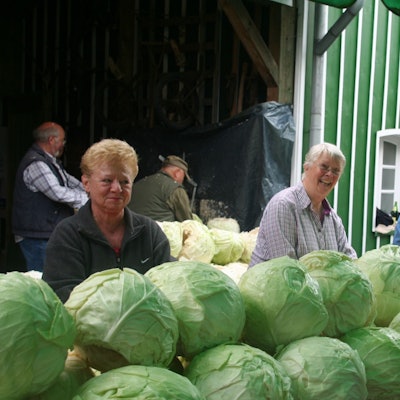 Christine Weber vor einer Reihe gestapelter Weißkohlköpfe.