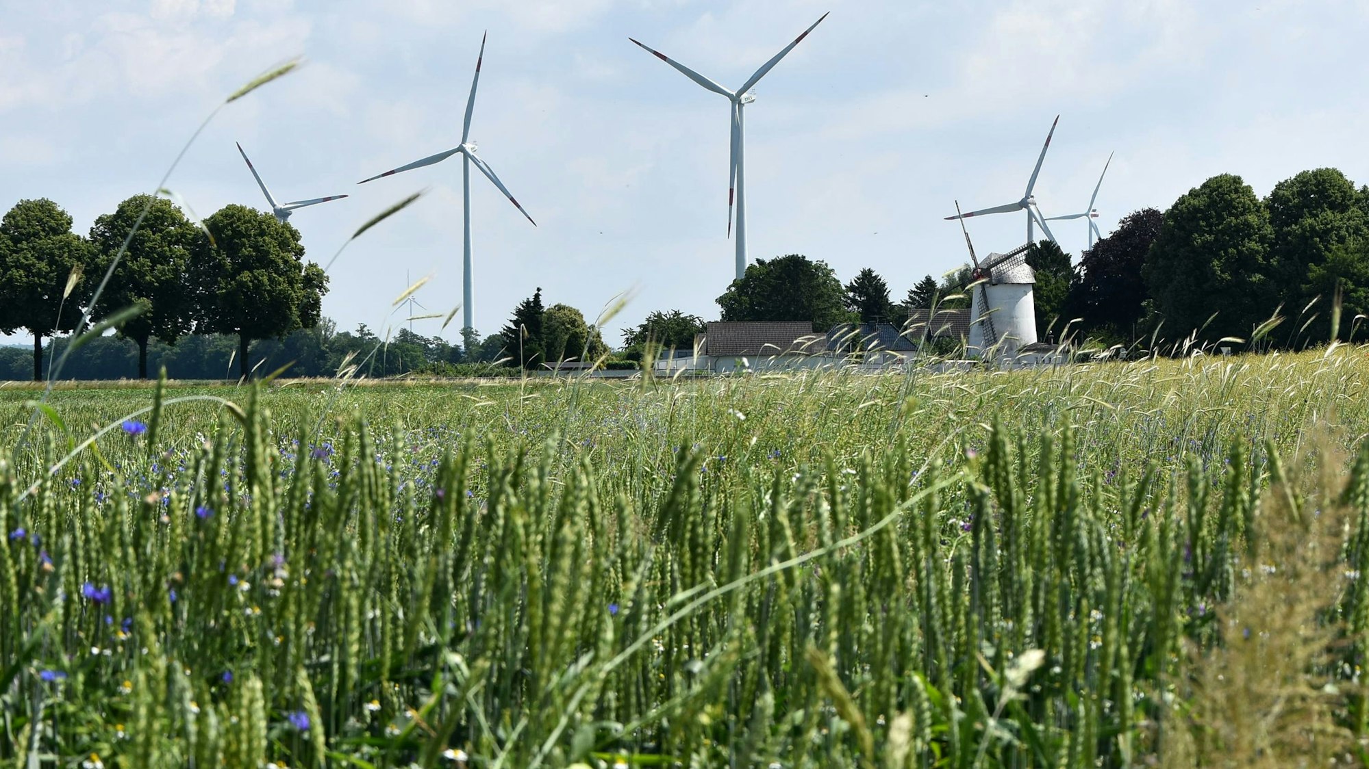 Windmühlen aus verschiedenen Jahrhunderten stehen in der Nähe von Niederembt am Feldrand.