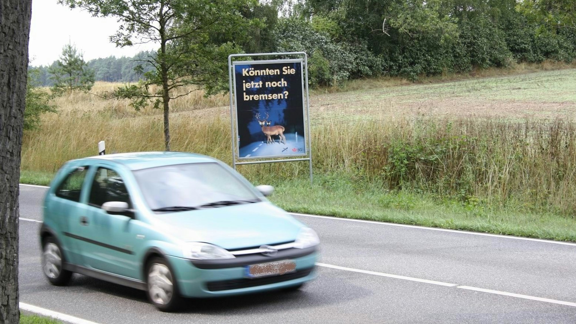 Ein Auto fährt an einem Schild vorbei, das auf Paarungszeit der Rehe hinweist.