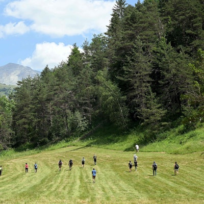 Freiwillige durchkämmen die Felder und Wälder im Ort Le Vernet in Frankreich nach dem vermissten Émile. Der zweijährige Junge ist seit Tagen verschwunden.