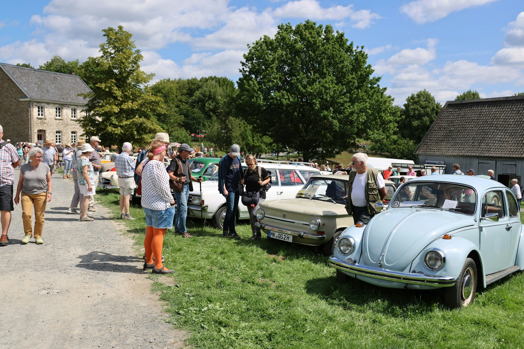 Ein VW Käfer und ein NSU Prinz in einer Reihe mit weiteren historischen Pkw.