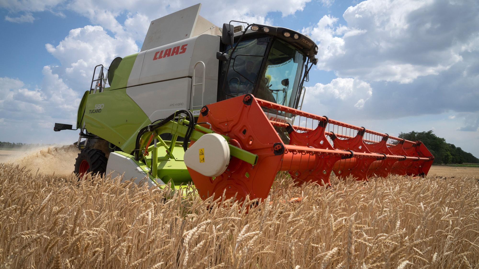 Ein Bauer drischt in der Region Dnipropetrowsk in der Ukraine den Weizen auf seinem Feld.