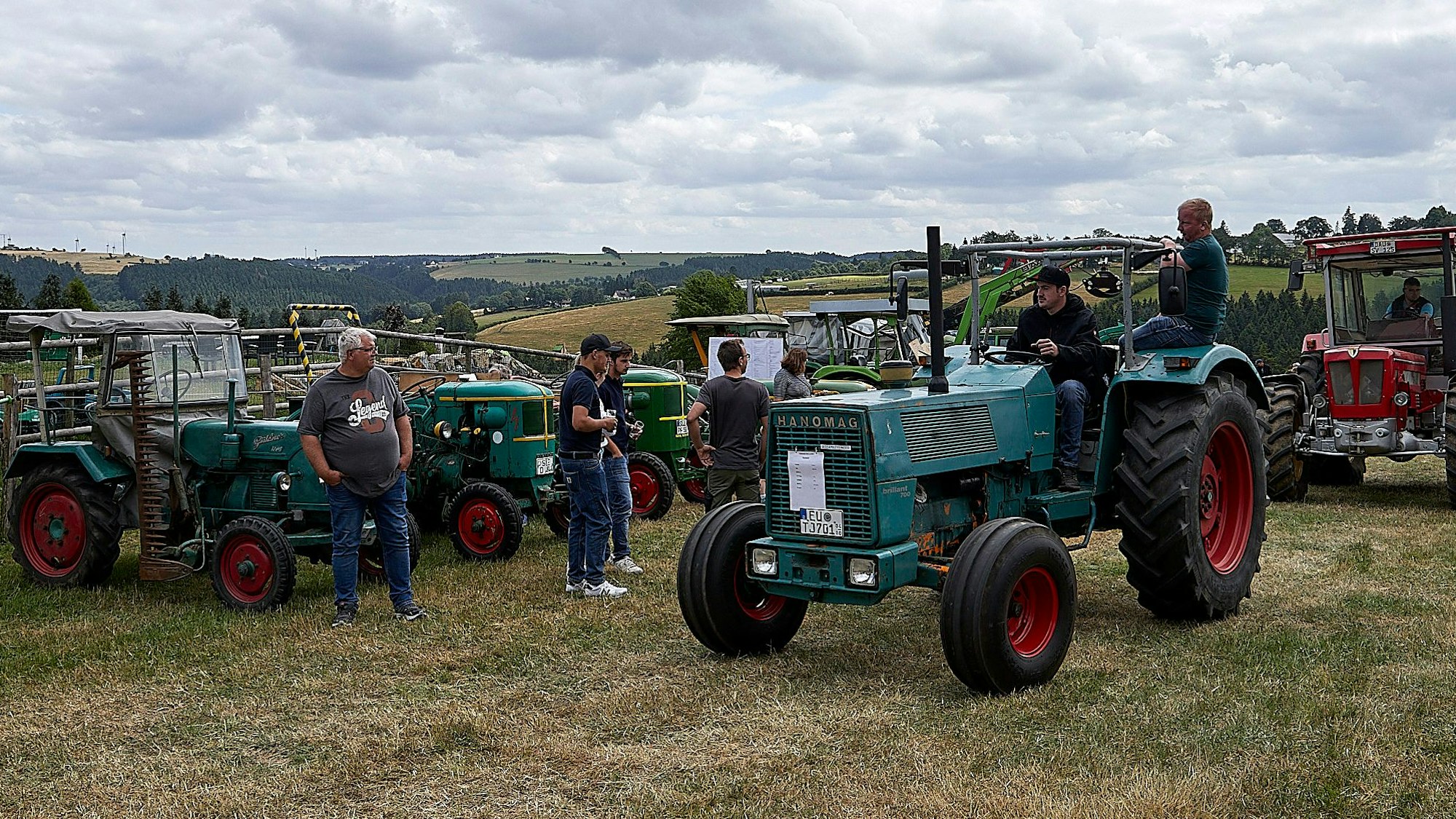 Mehrere alte Traktoren stehen auf einer Wiese. Mehrere Männer betrachten sie.