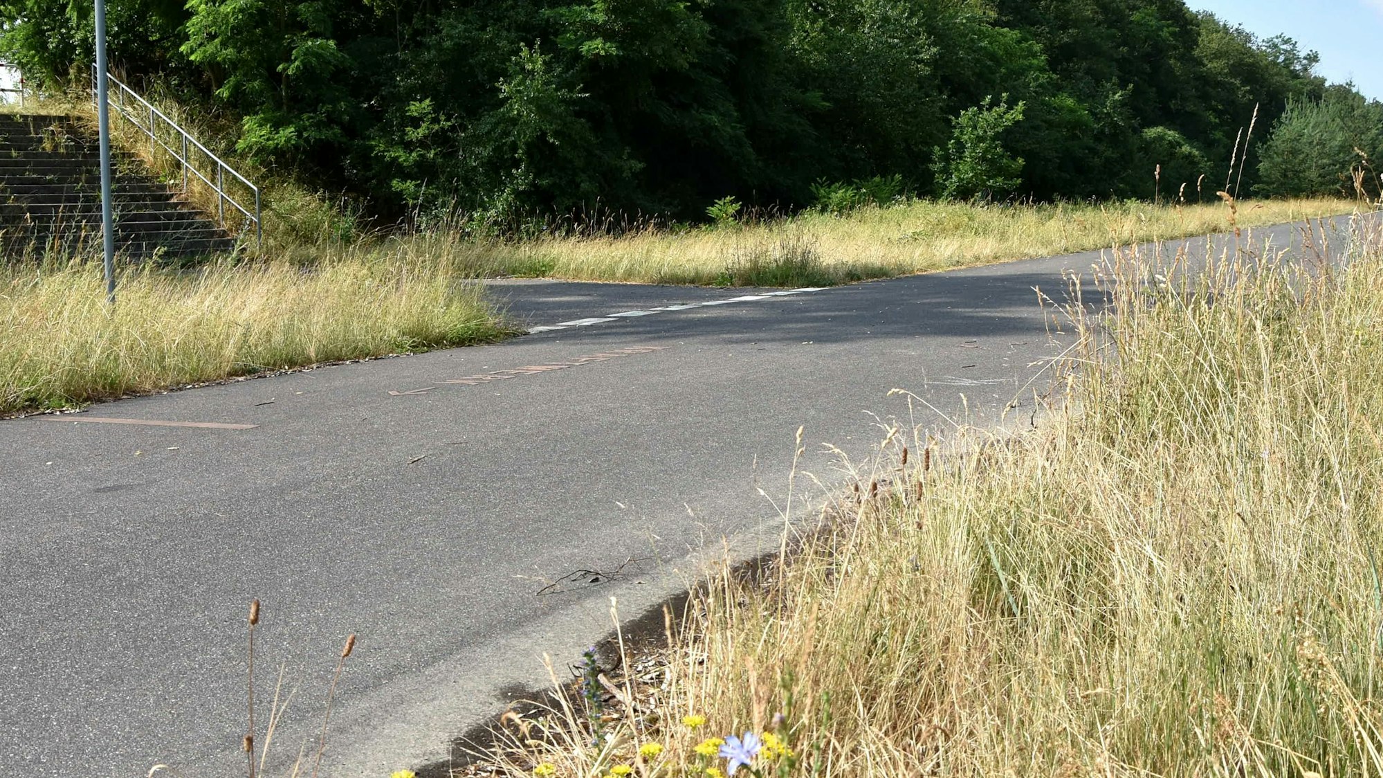 Bild 2: Weg am Tagebau