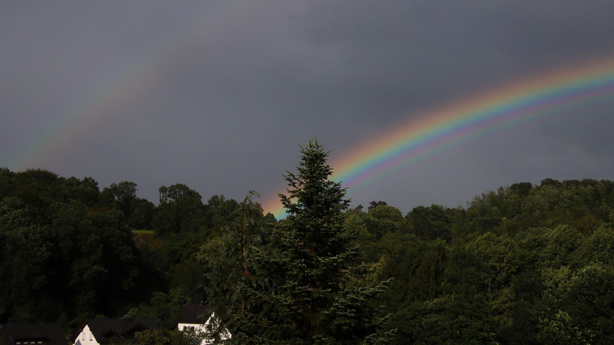 Über Baumwipfeln leuchtet ein doppelter Regenbogen am Himmel.