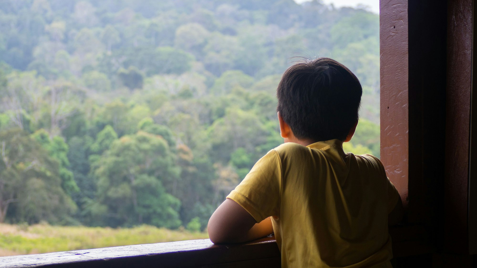 Ein Junge schaut aus dem Fenster (Symbolbild)