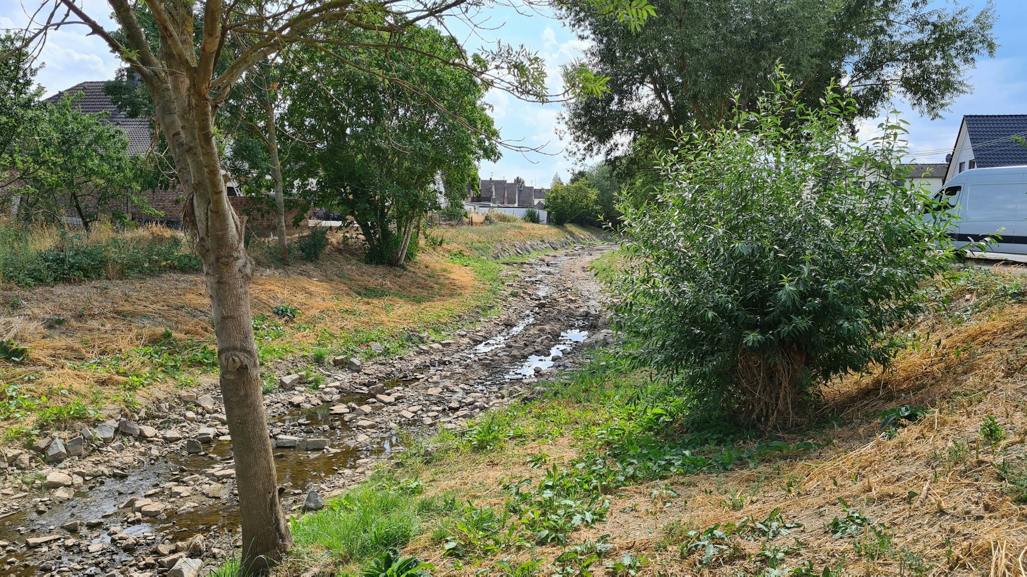 Das Foto aus dem vergangenen Jahr zeigt, dass die Erft stellenweise kaum noch Wasser führte. In diesem Sommer sieht es nicht viel besser aus.