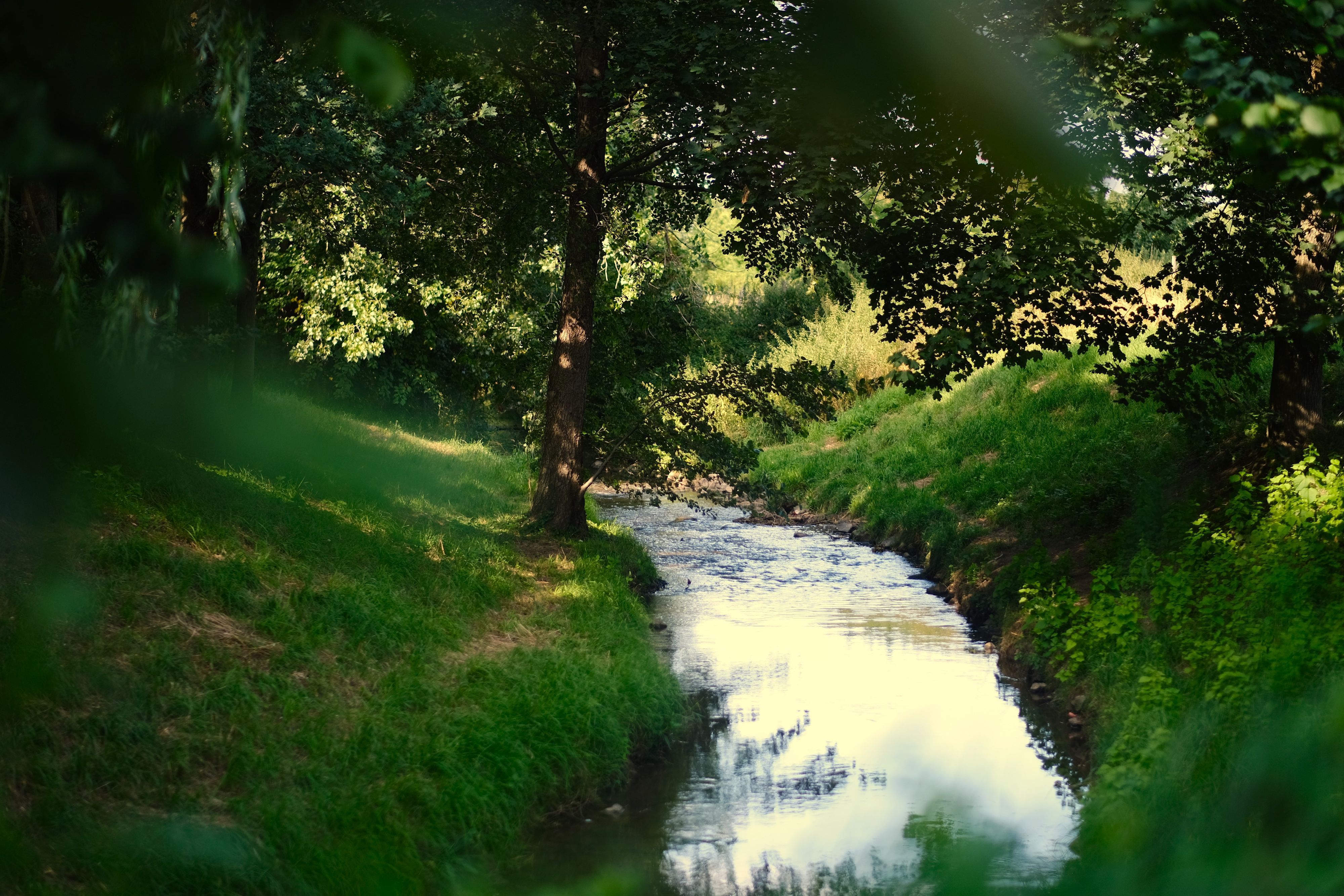 Auf dem Foto ist der Nettelbach in Kerpen zu sehen.