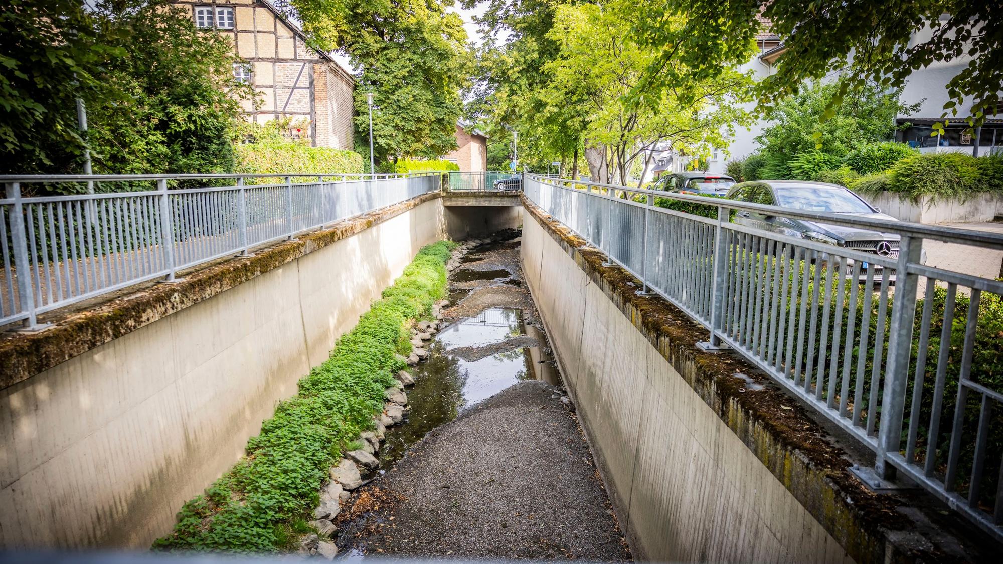 Der fast ausgetrocknete Swistbach in Flerzheim im Sommer 2023.