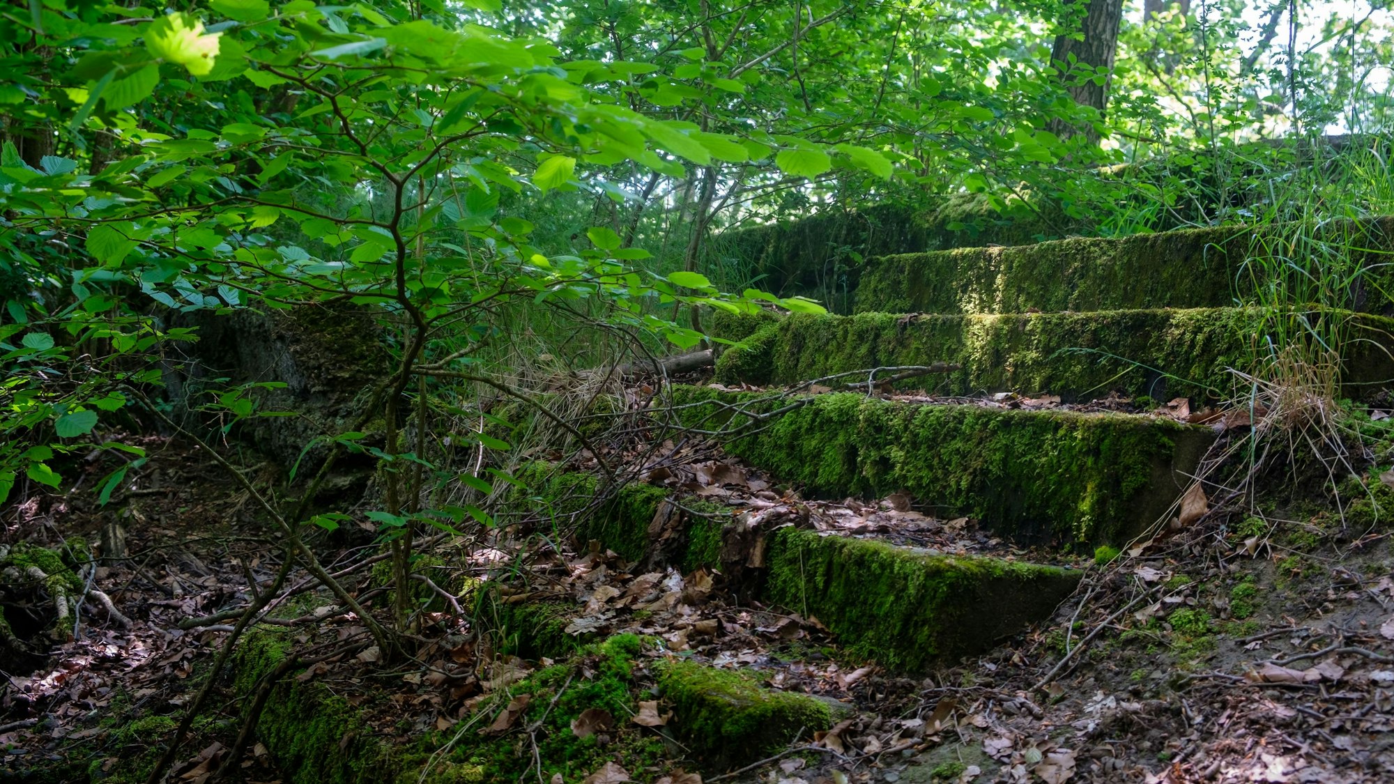 Die Überreste des Freibad Verr