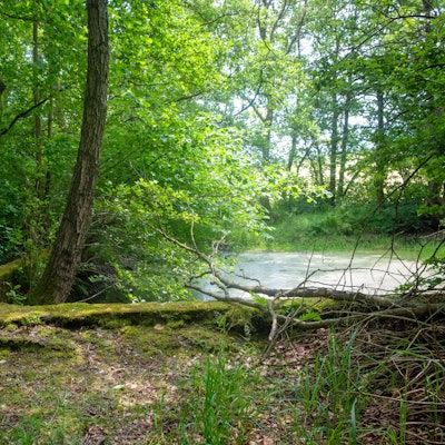 Die Überreste eines Freibads.