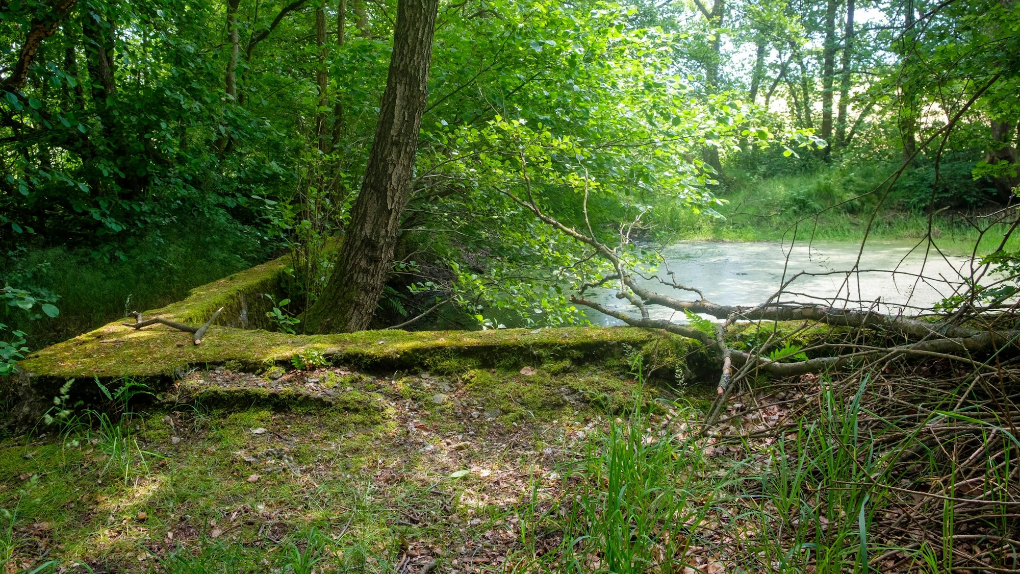 Die Überreste eines Freibads.