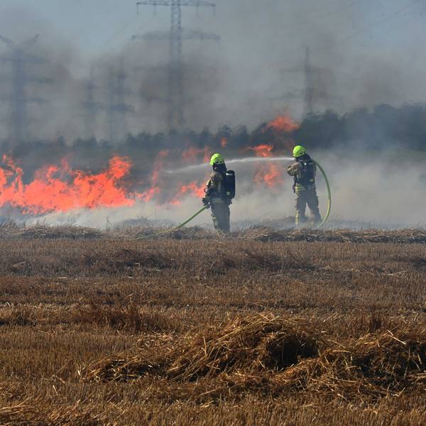 Das Bild zeigt zwei Feuerwehrmänner an einem brennenden Stoppelfeld