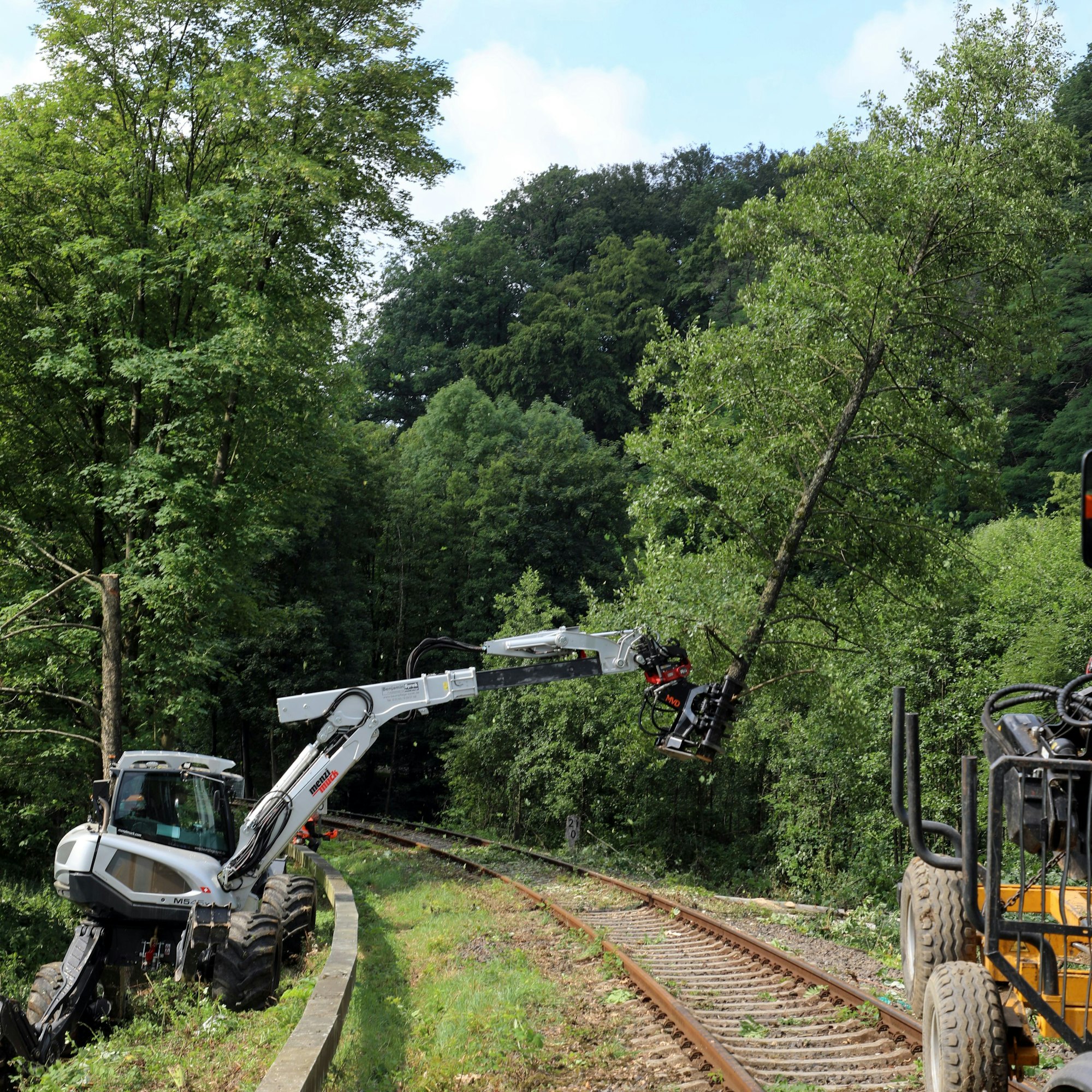 Ein Bagger legt eine gerade abgesägte Baumkrone auf den Boden.
