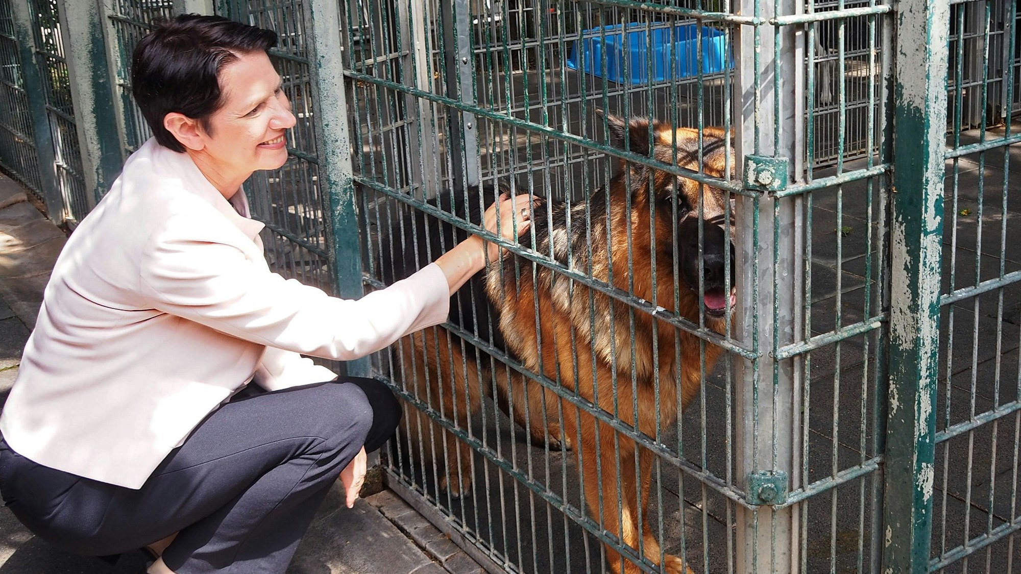 Die Ministerin streichelt einen Schäferhund.