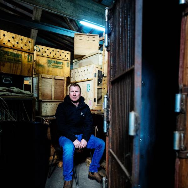 Säugetiere, Vögel und Reptilien brauchen zu ihren Verhaltensweisen und ihrer Größe passende Transportboxen. Kurator Bernd Marcordes muss „an alles denken und lernt immer Neues dazu“. Marcordes sitz in blauer Jeans und schwarzem Sweater inmitten von ganz unterschiedlichen Transportkisten.