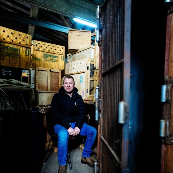 Säugetiere, Vögel und Reptilien brauchen zu ihren Verhaltensweisen und ihrer Größe passende Transportboxen. Kurator Bernd Marcordes muss „an alles denken und lernt immer Neues dazu“. Marcordes sitz in blauer Jeans und schwarzem Sweater inmitten von ganz unterschiedlichen Transportkisten.