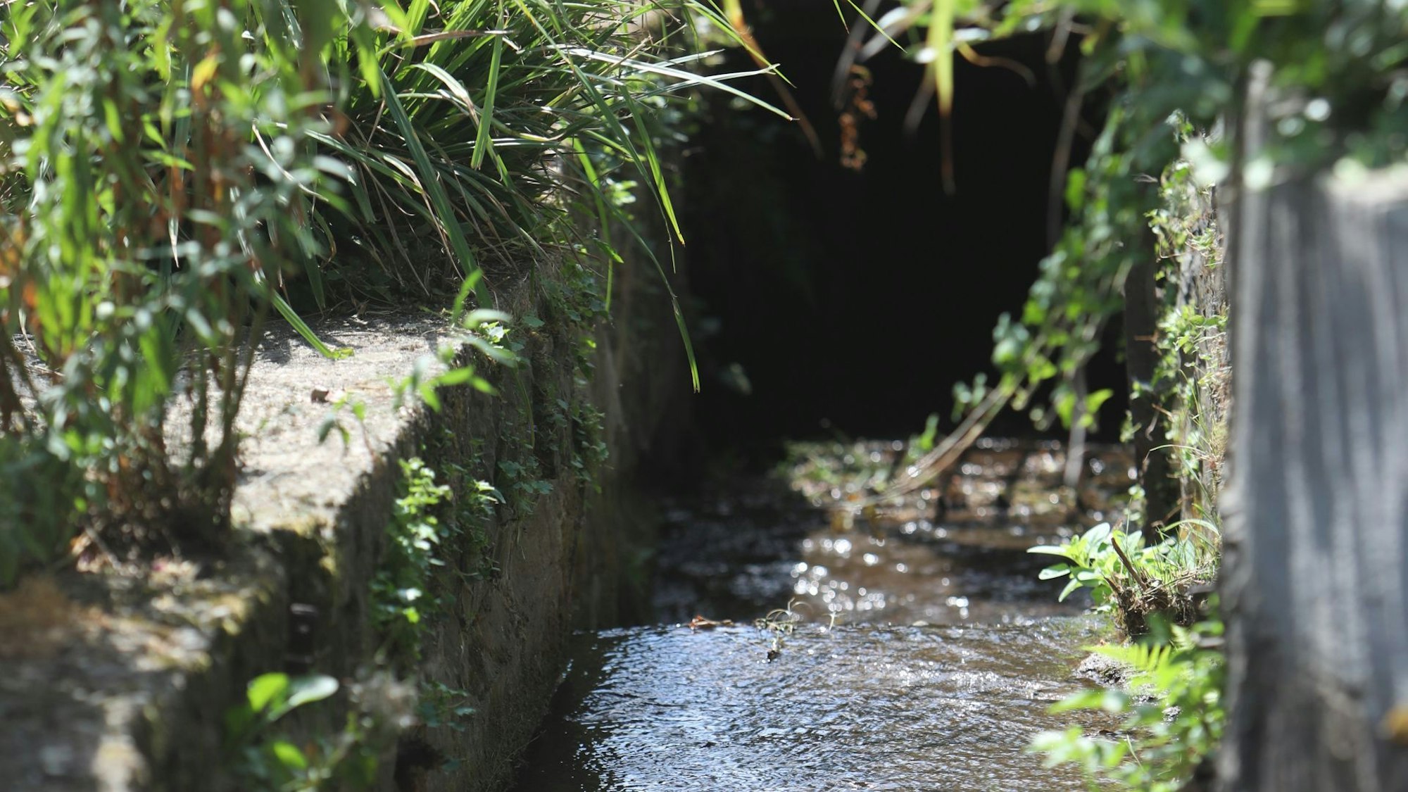 Niedrigwasser in einem Bach.
