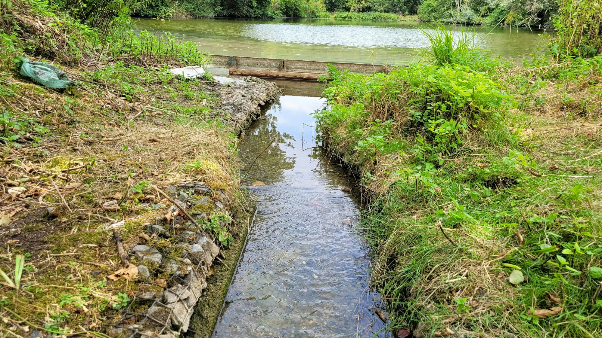 Das Foto zeigt einen schmalen Wasserlauf, die Überlaufschwelle, und im Hintergrund einen der Aufbereitungsteiche.