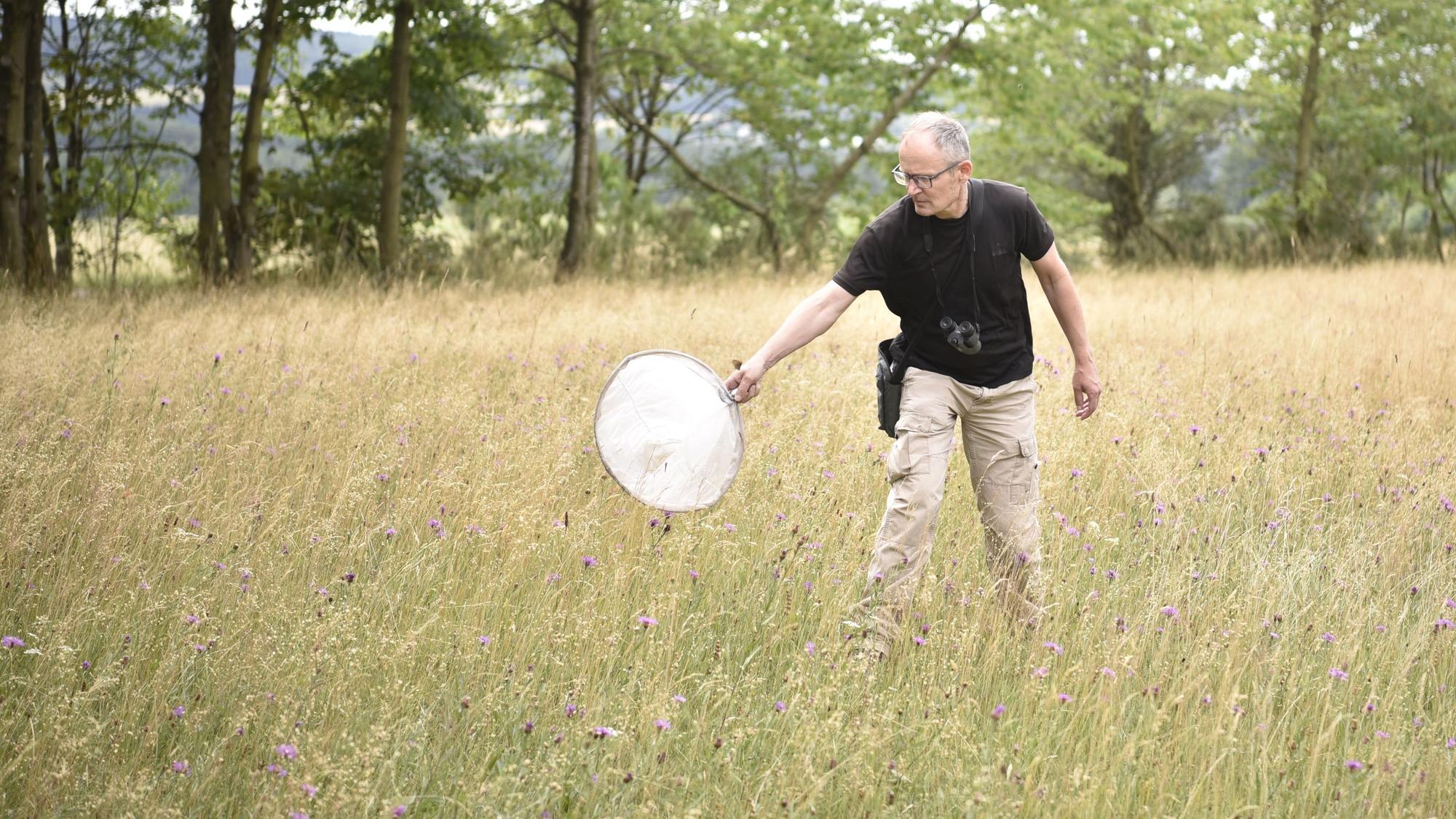 Ein Mann steht auf einer Wiese mit hohen Gräsern. Er fängt Schmetterlinge, um sie zu bestimmen.