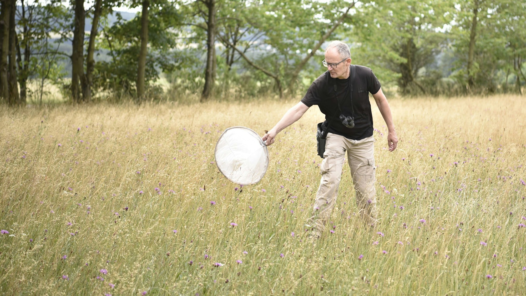 Ein Mann steht auf einer Wiese mit hohen Gräsern. Er fängt Schmetterlinge, um sie zu bestimmen.