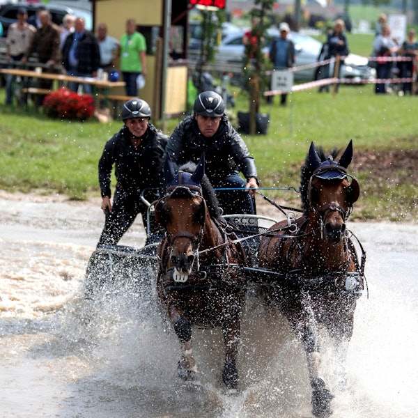 Das Bild zeigt zwei Pferde, dahinter zwei Menschen in einer Kutsche. Das Gespann durchquert ein Wasserhindernis.