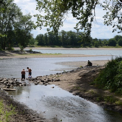 Kinder spielen bei Niedrigwasser an der Siegmündung. Breite Kiesbänke zeigen den niedrigen Wasserstand, Bäume geben Schatten.