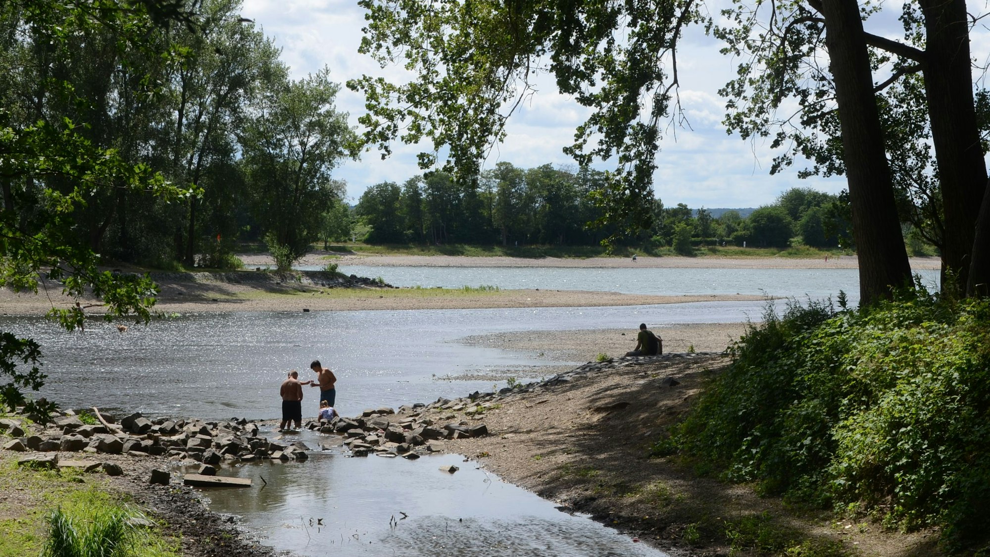 Kinder spielen bei Niedrigwasser an der Siegmündung. Breite Kiesbänke zeigen den niedrigen Wasserstand, Bäume geben Schatten.