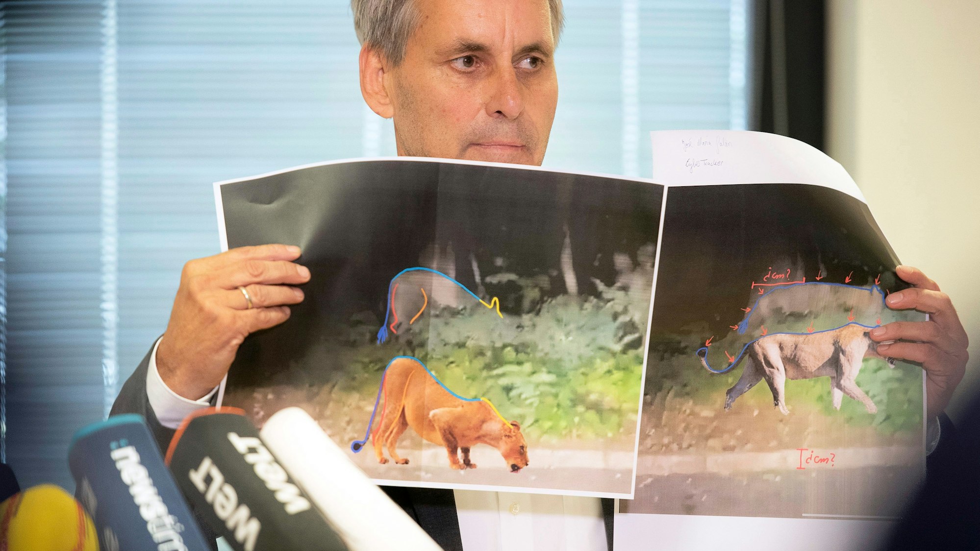 21.07.2023, Brandenburg, Kleinmachnow: Michael Grubert (SPD), Bürgermeister von Kleinmachnow, erklärt bei einem Pressegespräch anhand von Fotos, weshalb es sich bei dem gesuchten Raubtier um keine Löwin handelt.