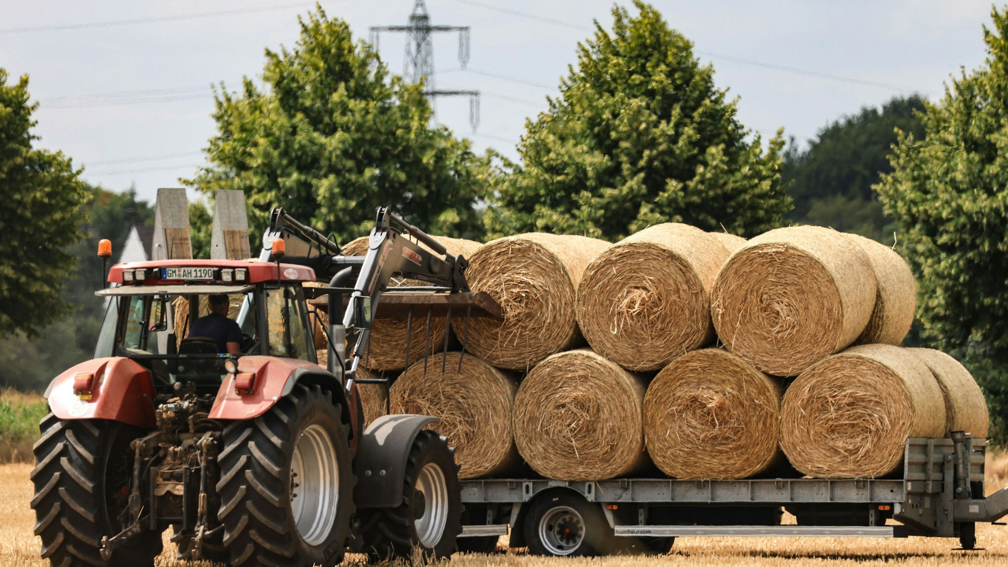 Ein Landwirt stapelt in der Nähe von Niederkassel im Rhein-Sieg Kreis Strohballen mit seinem Traktor auf einen Anhänger.