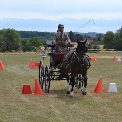 Das Bild zeigt ein Kutschengespann, das durch ein Hindernis fährt.