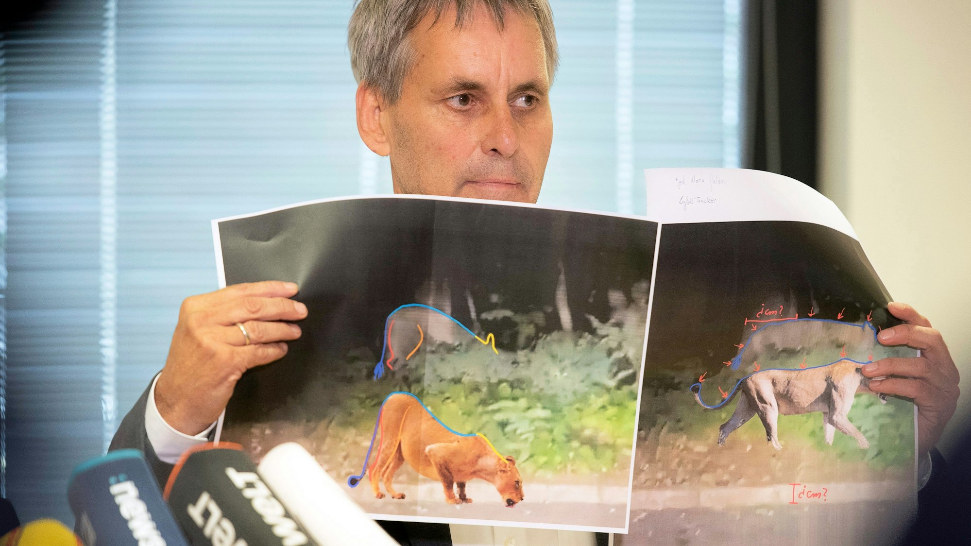 21.07.2023, Brandenburg, Kleinmachnow: Michael Grubert (SPD), Bürgermeister von Kleinmachnow, erklärt bei einem Pressegespräch anhand von Fotos, weshalb es sich bei dem gesuchten Raubtier um keine Löwin handelt.