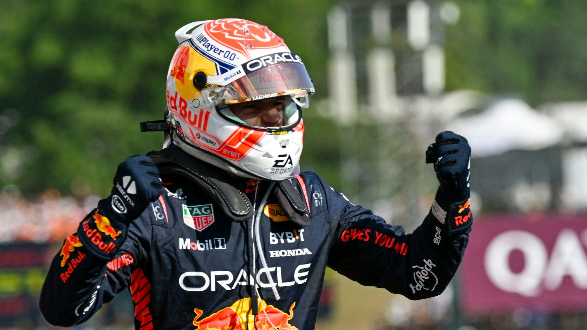 Max Verstappen feiert nach seinem Sieg